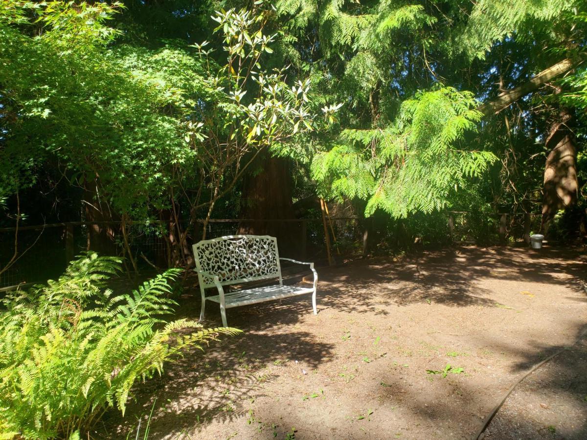 Cedar Pond Hotel Surrey Exterior photo
